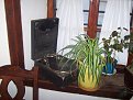 Натиснете снимката за да я уголемите

Име:Zlatograd_3631.JPG
Прегледи:213
Размер:69.3 КБ
ID:5837513