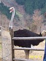 Натиснете снимката за да я уголемите

Име:Pictures 01810.jpg
Прегледи:212
Размер:54.3 КБ
ID:5837529