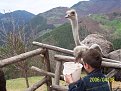 Натиснете снимката за да я уголемите

Име:Pictures 03628.jpg
Прегледи:231
Размер:100.1 КБ
ID:5837531
