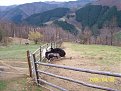 Натиснете снимката за да я уголемите

Име:Pictures 03830.jpg
Прегледи:229
Размер:101.5 КБ
ID:5837532