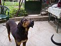 Натиснете снимката за да я уголемите

Име:IMGP0013.JPG
Прегледи:183
Размер:68.3 КБ
ID:5837640