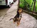 Натиснете снимката за да я уголемите

Име:IMGP0050.JPG
Прегледи:164
Размер:68.5 КБ
ID:5837641