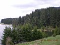 Натиснете снимката за да я уголемите

Име:DSCN0662.JPG
Прегледи:122
Размер:192.6 КБ
ID:5837738