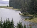 Натиснете снимката за да я уголемите

Име:DSCN0691.JPG
Прегледи:153
Размер:192.6 КБ
ID:5837749