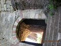 Натиснете снимката за да я уголемите

Име:DSCN0896.JPG
Прегледи:137
Размер:194.4 КБ
ID:5838703