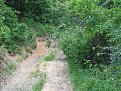 Натиснете снимката за да я уголемите

Име:IMG_8553.jpg
Прегледи:193
Размер:410.8 КБ
ID:5838879