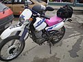 Натиснете снимката за да я уголемите

Име:yamaha xt.jpg
Прегледи:217
Размер:144.8 КБ
ID:5839932
