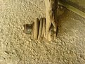 Натиснете снимката за да я уголемите

Име:DSC00204.jpg
Прегледи:1106
Размер:147.1 КБ
ID:5842808