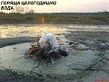 Натиснете снимката за да я уголемите

Име:DSC00933.jpg
Прегледи:186
Размер:163.7 КБ
ID:5843666