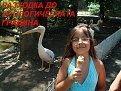 Натиснете снимката за да я уголемите

Име:toplofikacia 257.jpg
Прегледи:195
Размер:219.2 КБ
ID:5843682