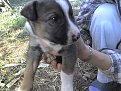 Натиснете снимката за да я уголемите

Име:24-09-08_1619.jpg
Прегледи:302
Размер:287.3 КБ
ID:5844238