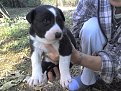Натиснете снимката за да я уголемите

Име:24-09-08_1620.jpg
Прегледи:307
Размер:303.5 КБ
ID:5844239