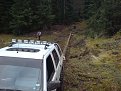 Натиснете снимката за да я уголемите

Име:DSC00058.jpg
Прегледи:425
Размер:153.2 КБ
ID:5844285