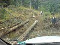 Натиснете снимката за да я уголемите

Име:DSC00061.jpg
Прегледи:372
Размер:189.9 КБ
ID:5844288