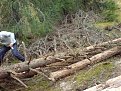 Натиснете снимката за да я уголемите

Име:DSC00063.jpg
Прегледи:363
Размер:242.2 КБ
ID:5844290