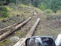 Натиснете снимката за да я уголемите

Име:DSC00065.jpg
Прегледи:362
Размер:254.8 КБ
ID:5844292