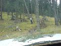 Натиснете снимката за да я уголемите

Име:DSC00067.jpg
Прегледи:347
Размер:162.0 КБ
ID:5844294