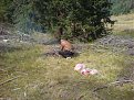 Натиснете снимката за да я уголемите

Име:DSC00071.jpg
Прегледи:339
Размер:255.7 КБ
ID:5844298