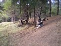 Натиснете снимката за да я уголемите

Име:06.jpg
Прегледи:126
Размер:220.9 КБ
ID:5845839