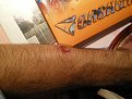Натиснете снимката за да я уголемите

Име:03.jpg
Прегледи:115
Размер:118.5 КБ
ID:5846328