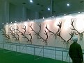 Натиснете снимката за да я уголемите

Име:02112008(003).jpg
Прегледи:126
Размер:114.8 КБ
ID:5846343
