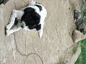 Натиснете снимката за да я уголемите

Име:IMGP0055.jpg
Прегледи:523
Размер:124.5 КБ
ID:5846431