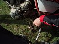 Натиснете снимката за да я уголемите

Име:P5100659.jpg
Прегледи:160
Размер:158.2 КБ
ID:5848016