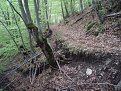 Натиснете снимката за да я уголемите

Име:P5100680.jpg
Прегледи:140
Размер:232.8 КБ
ID:5848027