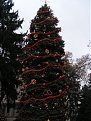 Натиснете снимката за да я уголемите

Име:DSCF1875.jpg
Прегледи:114
Размер:99.4 КБ
ID:5848650