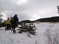 Натиснете снимката за да я уголемите

Име:Picture 012.jpg
Прегледи:138
Размер:111.8 КБ
ID:5848817