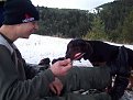 Натиснете снимката за да я уголемите

Име:Picture 014.jpg
Прегледи:154
Размер:123.1 КБ
ID:5848818