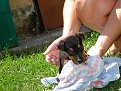 Натиснете снимката за да я уголемите

Име:DSC03817.jpg
Прегледи:343
Размер:186.9 КБ
ID:5850104