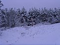Натиснете снимката за да я уголемите

Име:032.jpg
Прегледи:171
Размер:124.2 КБ
ID:5850723