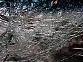 Натиснете снимката за да я уголемите

Име:IMGP3040 copy.jpg
Прегледи:486
Размер:273.0 КБ
ID:5851583