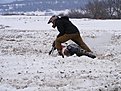 Натиснете снимката за да я уголемите

Име:Picture 032.jpg
Прегледи:193
Размер:169.5 КБ
ID:5854368