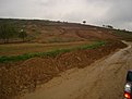 Натиснете снимката за да я уголемите

Име:DSC03677.jpg
Прегледи:218
Размер:111.9 КБ
ID:5857606