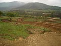 Натиснете снимката за да я уголемите

Име:DSC03683.jpg
Прегледи:184
Размер:140.9 КБ
ID:5857612