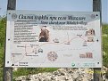 Натиснете снимката за да я уголемите

Име:skalnite carkvi 004.jpg
Прегледи:138
Размер:159.6 КБ
ID:5858602