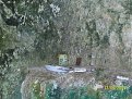 Натиснете снимката за да я уголемите

Име:skalnite carkvi 018.jpg
Прегледи:121
Размер:231.1 КБ
ID:5858616