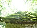 Натиснете снимката за да я уголемите

Име:DSC01944.jpg
Прегледи:133
Размер:182.8 КБ
ID:5860188