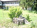 Натиснете снимката за да я уголемите

Име:DSC01957.jpg
Прегледи:137
Размер:313.1 КБ
ID:5860191