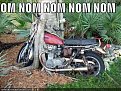 Натиснете снимката за да я уголемите

Име:funny-pictures-tree-eats-motorcycle.jpg
Прегледи:291
Размер:54.0 КБ
ID:5865423