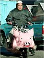 Натиснете снимката за да я уголемите

Име:pig_bike.jpg
Прегледи:262
Размер:19.8 КБ
ID:5865430