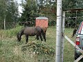 Натиснете снимката за да я уголемите

Име:DSC03366.jpg
Прегледи:271
Размер:275.2 КБ
ID:5866916