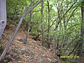 Натиснете снимката за да я уголемите

Име:SDC10573.jpg
Прегледи:122
Размер:256.1 КБ
ID:5866929
