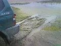 Натиснете снимката за да я уголемите

Име:DSC00998.jpg
Прегледи:289
Размер:108.5 КБ
ID:5869491