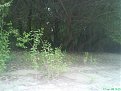Натиснете снимката за да я уголемите

Име:DSC01001.jpg
Прегледи:278
Размер:115.6 КБ
ID:5869493