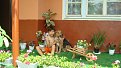 Натиснете снимката за да я уголемите

Име:DSC03394.jpg
Прегледи:133
Размер:125.3 КБ
ID:5872382