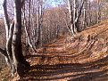 Натиснете снимката за да я уголемите

Име:21112009012.jpg
Прегледи:340
Размер:258.1 КБ
ID:5873412