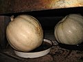 Натиснете снимката за да я уголемите

Име:Picture 451.jpg
Прегледи:135
Размер:89.5 КБ
ID:5875887